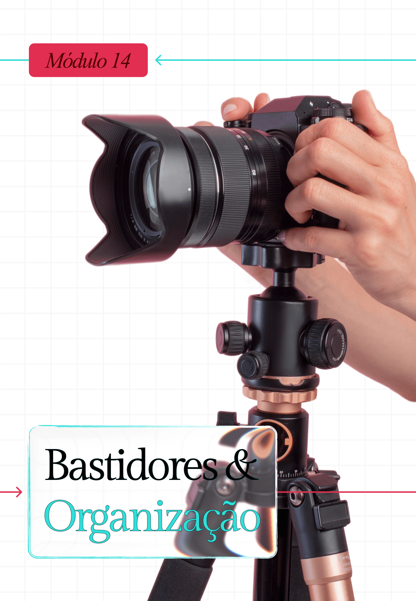Módulo 14: Bastidores & Organização