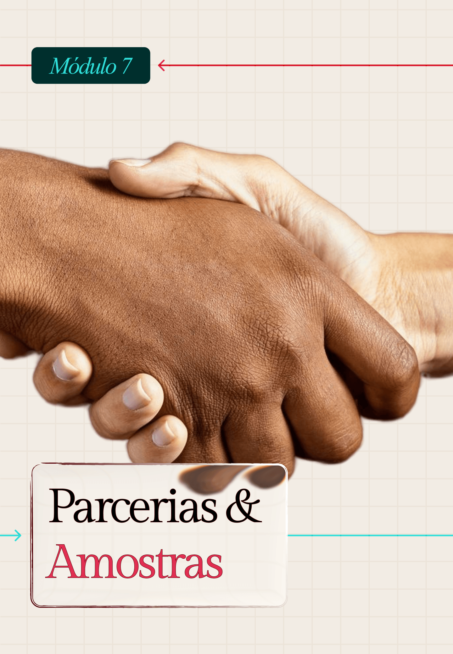 Módulo 7: Parcerias com Marcas e Recebendo Amostras Grátis